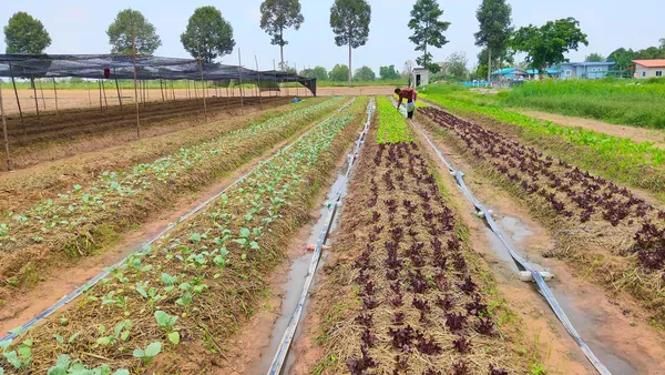 Fury as it’s revealed foreign farmers are being handed £500m in aid amid tractor tax row